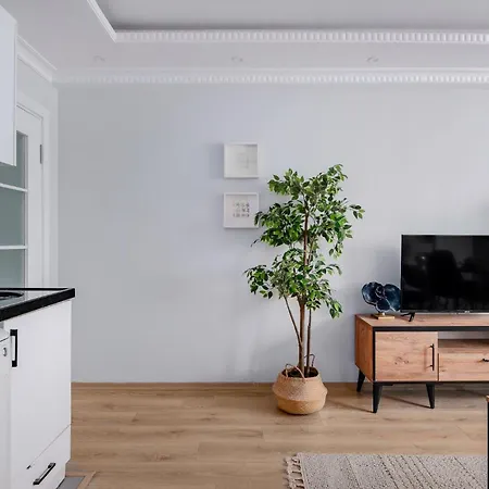 Apartment New Sisli - 1gbps Wifi - Ac - Elevator *